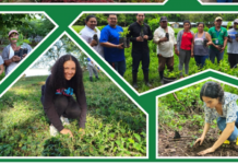 Chontales avanza en restauración ambiental con la campaña “Verde, Que Te Quiero Verde” Foto: MARENA impulsa reforestación comunitaria con más de medio millón de plantas/Cortesía