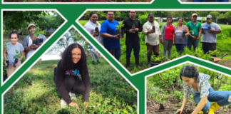 Foto: MARENA impulsa reforestación comunitaria con más de medio millón de plantas/Cortesía