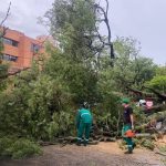 Poderosa tormenta deja más de 700 familias damnificadas en Paraguay Foto: Tormenta en Paraguay /cortesía