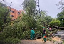Foto: Tormenta en Paraguay /cortesía