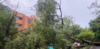 Foto: Tormenta en Paraguay /cortesía