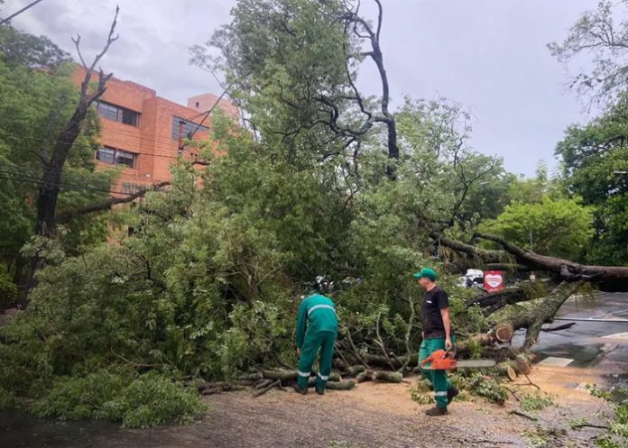 Foto: Tormenta en Paraguay /cortesía