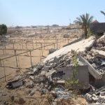 Foto: La agricultura en Gaza colapsa /cortesía