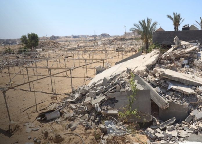 Foto: La agricultura en Gaza colapsa /cortesía