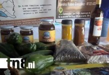 Foto: Agroinvestiga 2025, impulsa innovación y tecnología/TN8