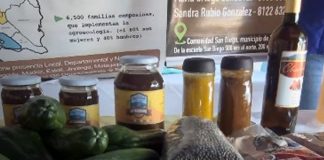 Foto: Agroinvestiga 2025, impulsa innovación y tecnología/TN8