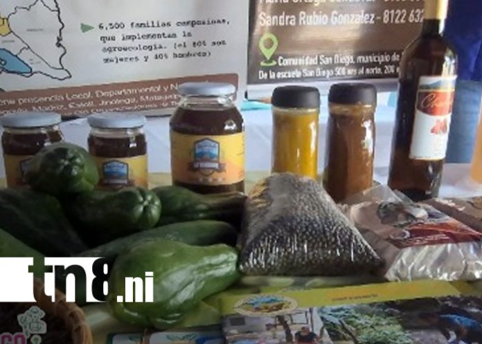 Foto: Agroinvestiga 2025, impulsa innovación y tecnología/TN8