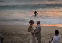 Foto: La boda perfecta… hasta que Batman salió del agua/Cortesía