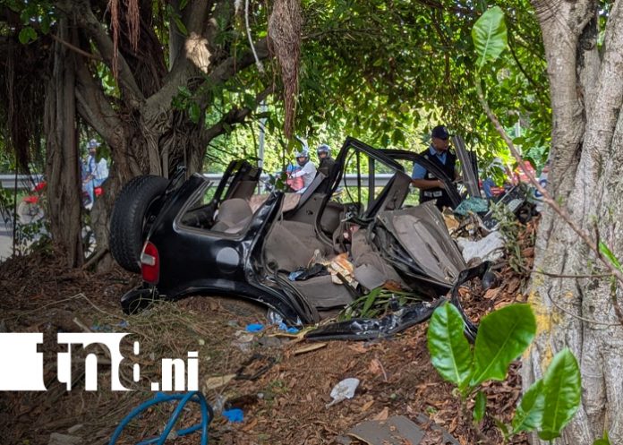 Foto: Camión fuera de control provoca choque devastador en la carretera Sur/TN8