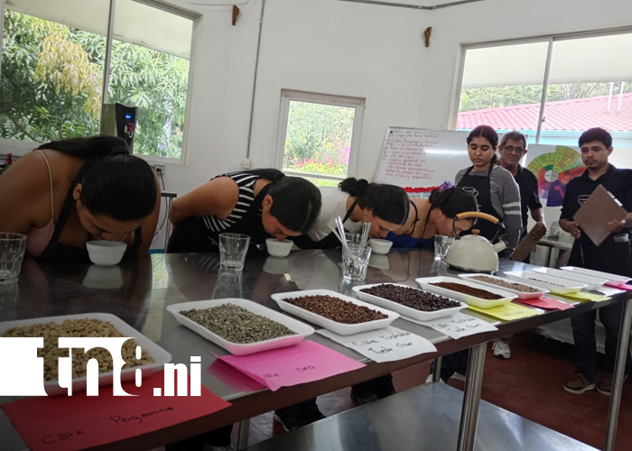 Foto: Nueva oportunidad educativa en Matagalpa: Técnico en Agroindustria del Café/TN8