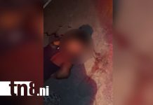 Fallece motorizado al impactar violentamente con la parte trasera de un camión en Rivas Foto: Motociclista muere al impactar violentamente con la parte trasera de un camión en Rivas/TN8