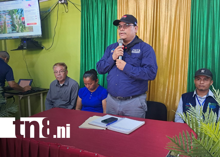Foto: Plátano de Ometepe, motor económico de la isla/Cortesía