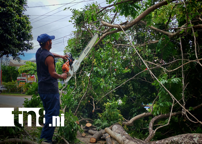 Foto: Emergencia en Rivas /TN8