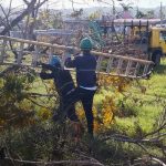 Foto: Cuba restaura la electricidad /cortesía
