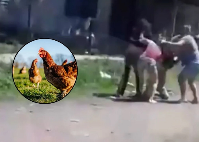 Foto: Pelea por una gallina termina con dos mujeres heridas /Cortesía