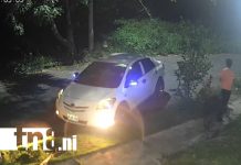 Adolescentes chocan y huyen tras incidente en Urbanización Bethel (VIDEO) Foto: Menores chocan contra un árbol en Urbanización Bethel /TN8