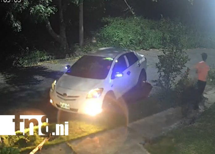 Foto: Menores chocan contra un árbol en Urbanización Bethel /TN8