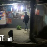 Circulan imágenes de delincuentes roba plátanos que azotan fincas en Rivas Foto: Circulan imágenes de delincuentes roba plátanos que azotan fincas en Rivas/TN8