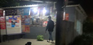 Foto: Circulan imágenes de delincuentes roba plátanos que azotan fincas en Rivas/TN8