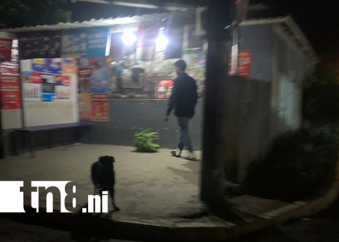 2 Foto: Circulan imágenes de delincuentes roba plátanos que azotan fincas en Rivas/TN8