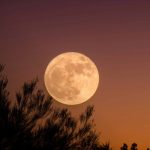 Foto: La Superluna del Castor /cortesía