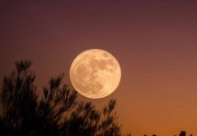 ¡Es hoy! La última superluna más espectacular del año iluminará el cielo Foto: La Superluna del Castor /cortesía