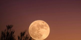 Foto: La Superluna del Castor /cortesía