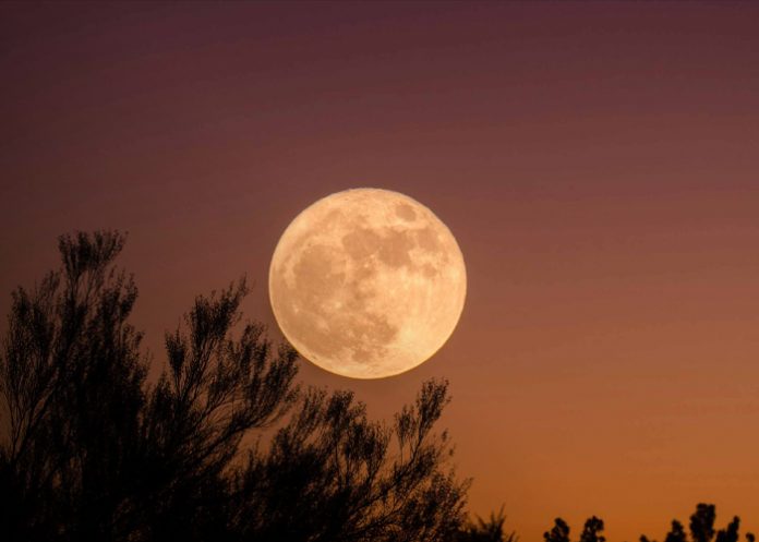 Foto: La Superluna del Castor /cortesía