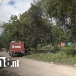 Foto: Enjambre de abejas ataca a hombre en Estelí/ TN8