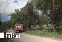 Foto: Enjambre de abejas ataca a hombre en Estelí/ TN8
