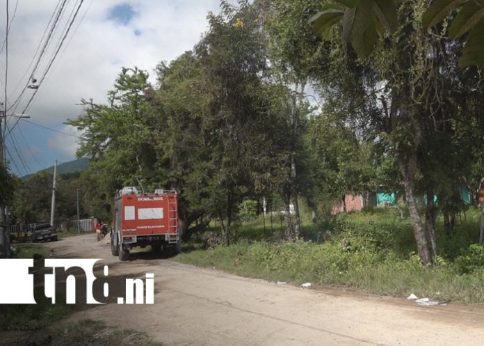 Foto: Enjambre de abejas ataca a hombre en Estelí/ TN8