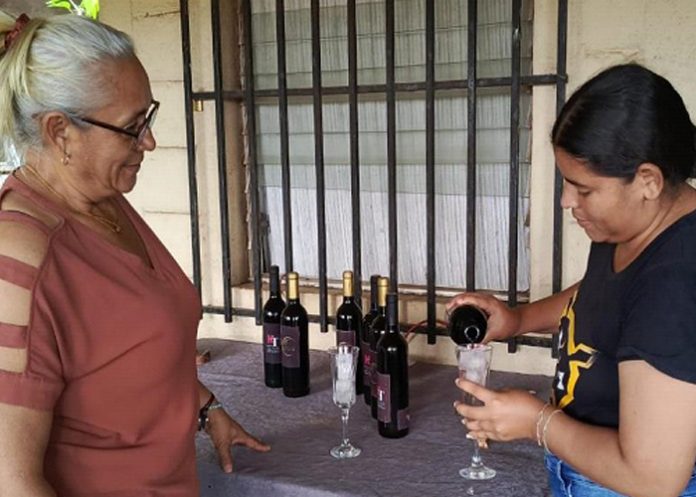 Foto: Ministerio de Emprendimientos capacita a productores de vinos /cortesía Foto: Ministerio de Emprendimientos capacita a productores de vinos /cortesía