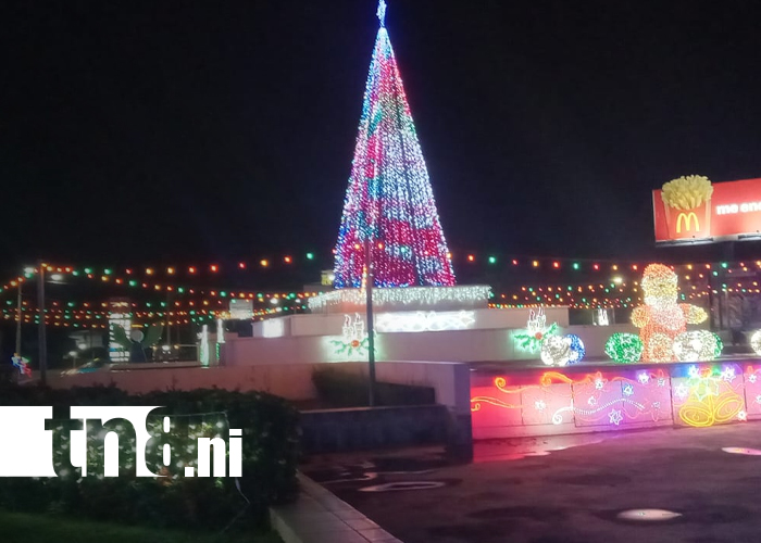 Foto: Managua brilla: la capital se llena de luces y espíritu navideño/TN8