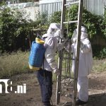 Foto: Enjambre de abejas africanas causa alarma en sector de “Roba Casa” en Estelí / TN8