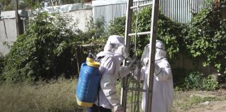 Foto: Enjambre de abejas africanas causa alarma en sector de “Roba Casa” en Estelí / TN8