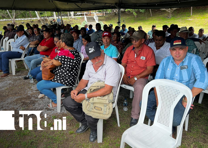 Foto: Ejército de Nicaragua activa Plan de Seguridad para la Cosecha Cafetalera 2025-2026/TN8
