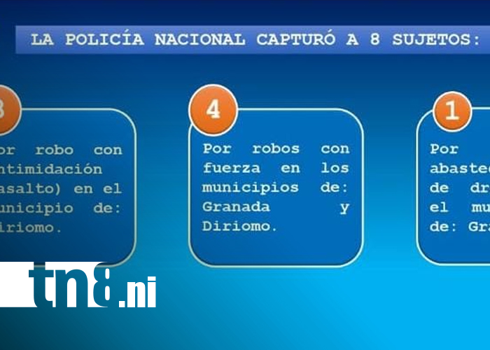 Foto: Ocho detenidos en Granada por delitos de peligrosidad/TN8
