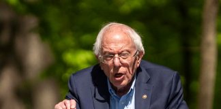 Foto: Senador Sanders / Cortesía