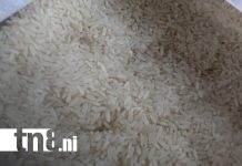 Foto: Canasta básica en Nicaragua /TN8