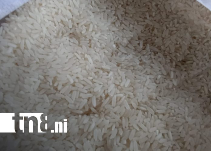 Foto: Canasta básica en Nicaragua /TN8 Foto: Canasta básica en Nicaragua /TN8