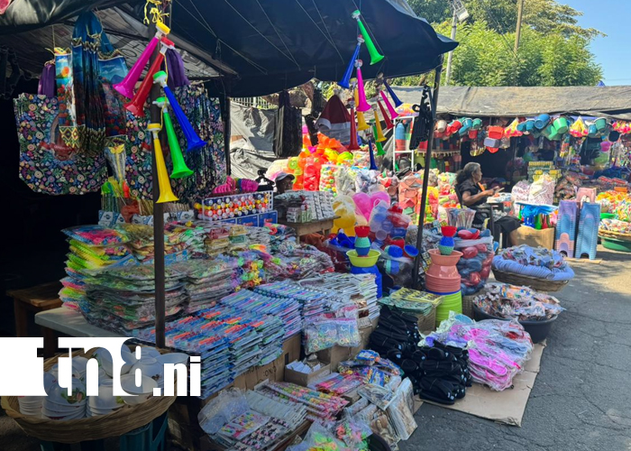 Foto:Color, devoción y dinamismo económico en una feria que convoca a miles/TN8