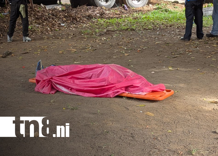 Foto: Camión fuera de control provoca choque devastador en la carretera Sur/TN8