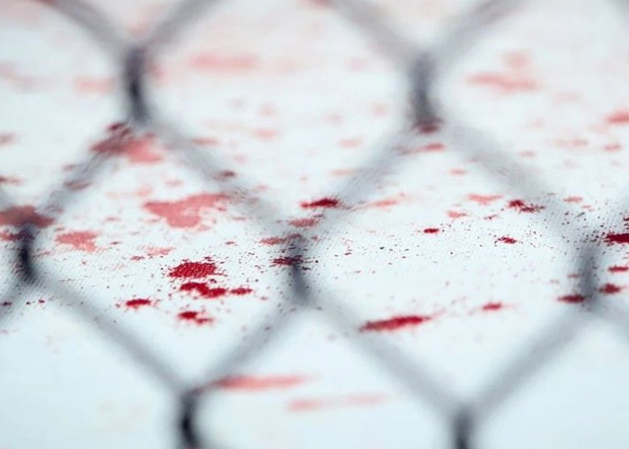 Foto: Peleador de MMA muere en Chicago/Cortesía