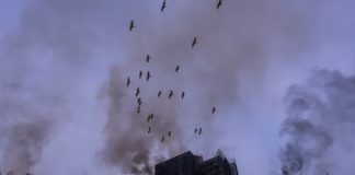 Foto: Hong Kong enfrenta su peor incendio en décadas con 75 muertos/Cortesía