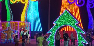 Foto: Comienza la magia navideña en Plaza La Fe con juegos y diversión para toda la familia/TN8