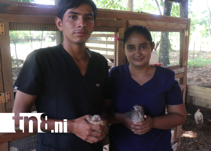 Foto: Estudiantes de URACCAN fortalecen seguridad alimentaria en Siuna/ TN8