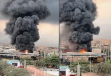 Foto: Voraz incendio consume una fábrica en Perú /Cortesía