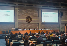 Nicaragua participa en la cumbre internacional de protección ambiental Foto: Nicaragua en la lucha global por un futuro verde /cortesía