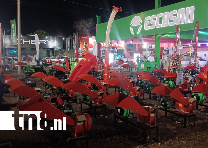 Foto: Lo mejor de la Feria Ganadera Navidad 2025/TN8
