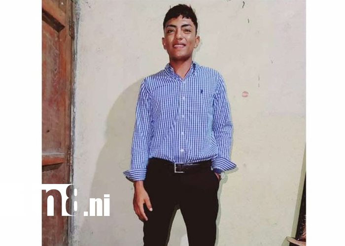 Foto: Semoviente en la carretera El Viejo – Puerto Morazán / TN8